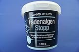 Thread Algae Eliminator Fadenalgenstop, 1000 g